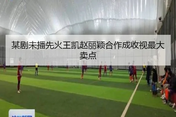 某剧未播先火王凯赵丽颖合作成收视最大卖点