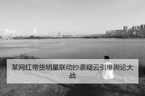 某网红带货明星联动抄袭疑云引爆舆论大战